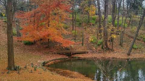 The Surprising Spot In Kentucky That's A Gorgeous Place To Walk All Year Long