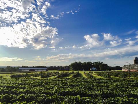 Shop For Delicious Treats At The Ekonk Hill Turkey Farm Store In Connecticut