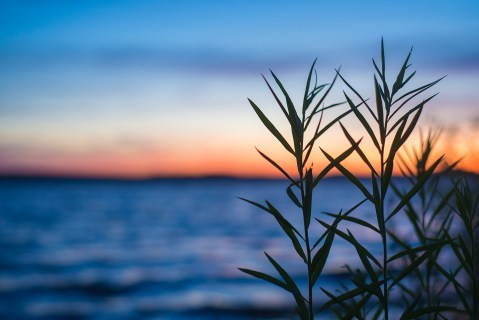 There's Nothing Quite Like Taking A Walk Down The Shores Of Massachusetts' Wachusett Reservoir At Sunset