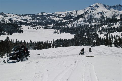 The 2-Hour Scenic Snowmobile Tour At Hope Valley In Northern California Is Perfect For First-Time Riders