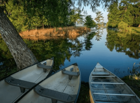 Pass A Good Time Kayaking The Mesmerizing Lake Martin In Louisiana