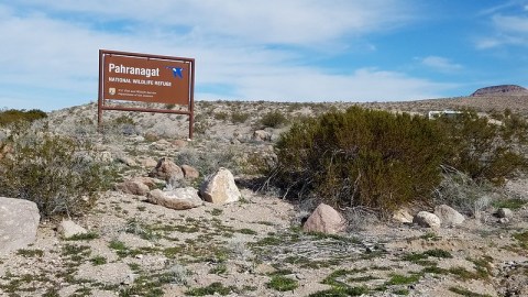 You'll Need The Whole Weekend To Explore All 5,380 Acres Of Pahranagat National Wildlife Refuge In Nevada