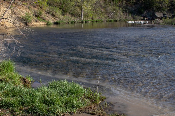 A look over the smooth waters in the wading area of Pillsbury Crossing.