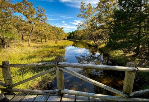 Off The Beaten Path In Woolaroc Museum And Wildlife Preserve, You'll Find A Breathtaking Oklahoma Overlook That Lets You See For Miles