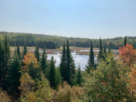 Minnesota's Only National Park Is Also The Best Place To See Beavers In The United States