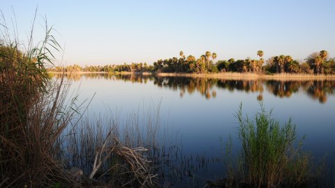 Bentsen-Rio Grande Valley State Park Is An Otherworldly Destination On The Texas Border