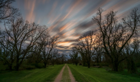 Awaken Your Inner Explorer At The Red River National Wildlife Refuge In Louisiana