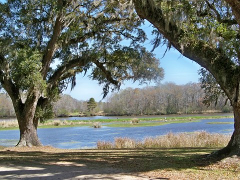 Follow Your Sense Of Adventure On These 9 Scenic Rivers In South Carolina