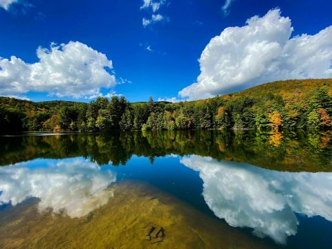 Take An Easy Out-And-Back Trail To Enter Another World At Lithia Springs In Massachusetts