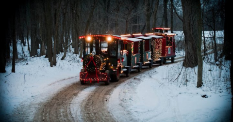 The Michigan Farm That Transforms Into A Christmas Wonderland Each Year