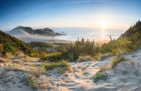 Thanks To The Beach Bill, Oregon's Beautiful Coastline Is Available For Everyone To Enjoy