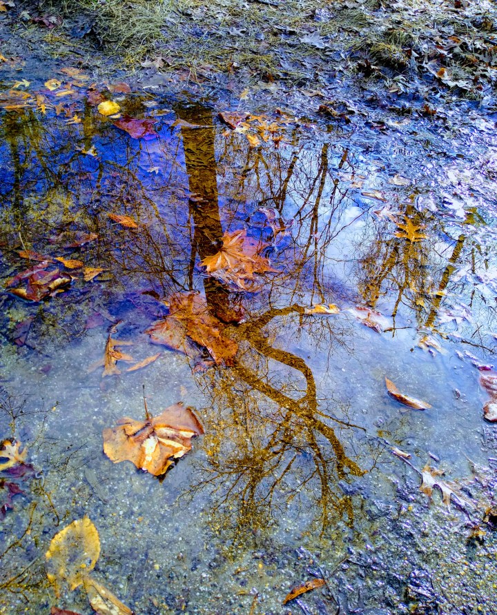 Great Falls Park Reflection Virginia