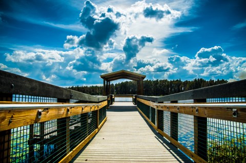 You'll Have A Front Row View of Lake Louisa State Park, Florida  in These Cozy Cabins