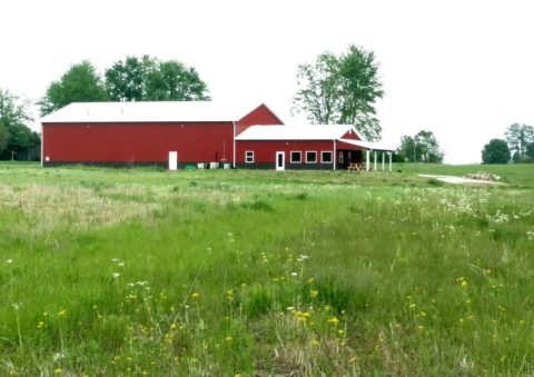 Harry Stuff Brewery Might Just Be Indiana's Friendliest Brewery