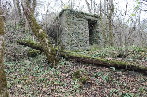 The Untold Story Of The West Virginia City That Vanished Overnight