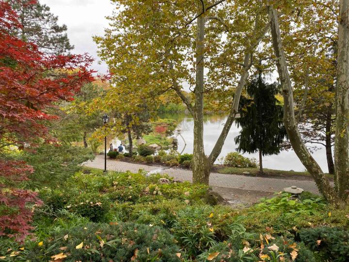 delaware park japanese garden