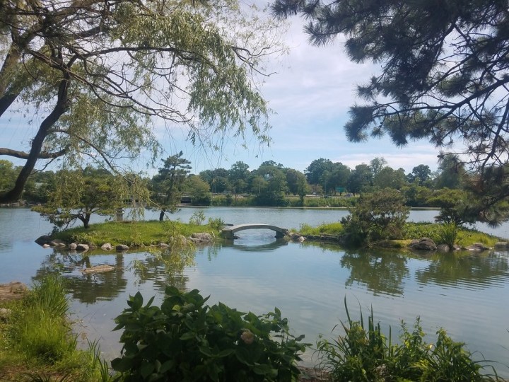 delaware park japanese garden