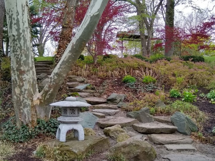 delaware park japanese garden