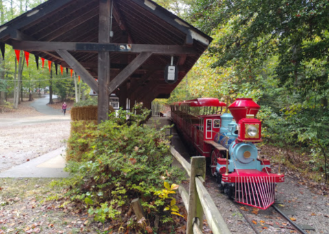 Ride A Magical Miniature Train Through The Woods Of Burke Lake Park In Virginia