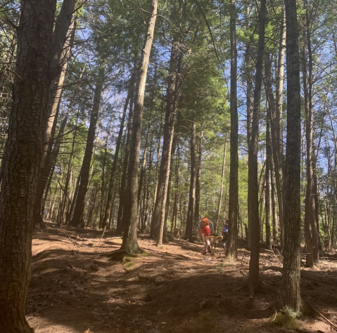 Take An Easy Loop Trail Past Some Of The Prettiest Scenery In Maine On The Philbrick Trail