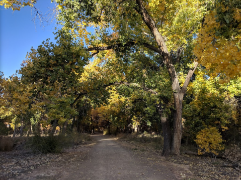 With 2 Short Trails And Observation Areas, Willow Creek Bosque Is A Perfect Hiking Spot In New Mexico