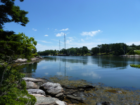 The Porter Preserve White Loop Trail Offers Views Of A Hidden Maine Beach That You'll Probably Have All To Yourself