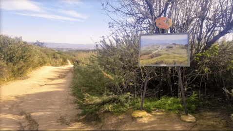 El Moro Canyon Loop Trail Just Might Be The Most Serene Trail In All Of Southern California