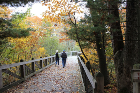 Wander Along The Water When You Visit The 239-Acre Hemlock Crossing Park In Michigan