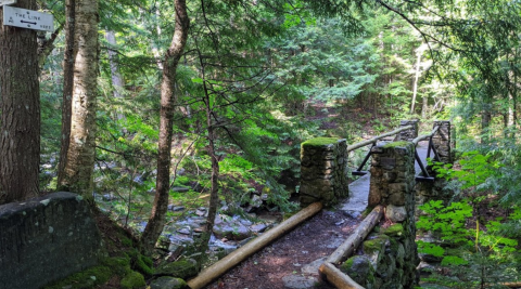 The New Hampshire Forest Trail That Holds An Often Forgotten Relic Of The Early Path Makers
