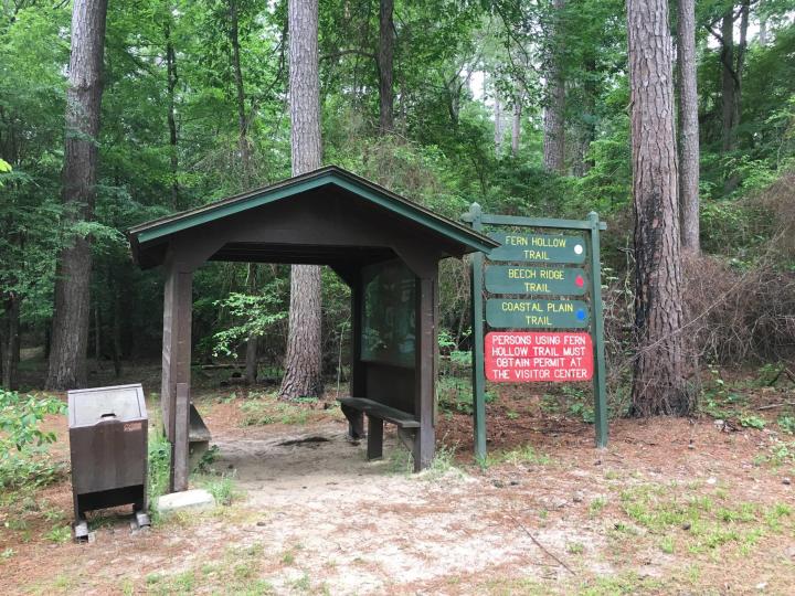 White Oak Lake State Park Hiking Arkansas