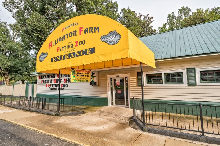 Hot Springs Alligator Farm