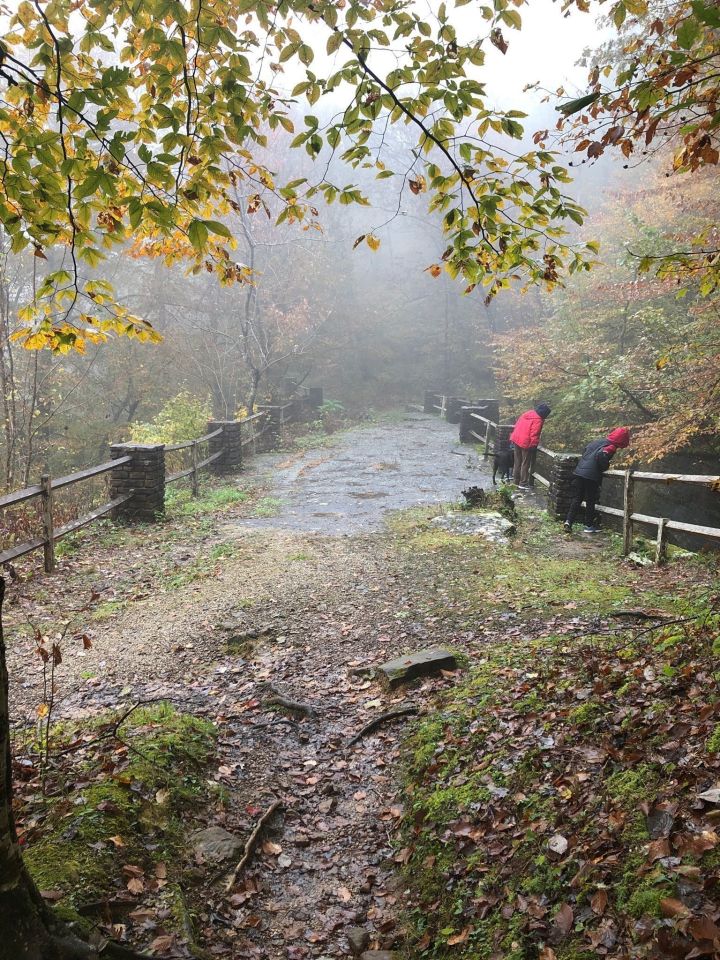 Alum Cove Hike Arkansas