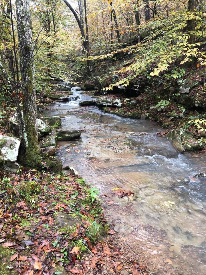 Alum Cove Stream Arkansas