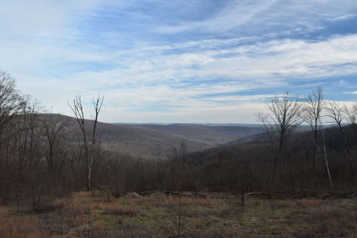 Alum Cove Trail View Arkansas