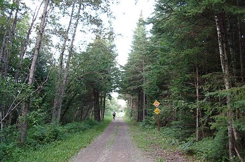 For Tons Of Active Options Check Out Maine's 28-Mile Aroostook Valley Trail Network