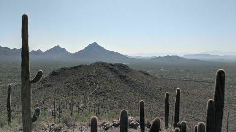 Arizona Has A Hidden Mountain And It's One Of The Most Beautiful Places You'll Ever Go