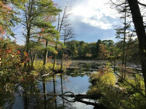 Take An Easy Loop Trail Past Some Of The Prettiest Scenery In Rhode Island On The Fisherville Brook Wildlife Refuge Trail