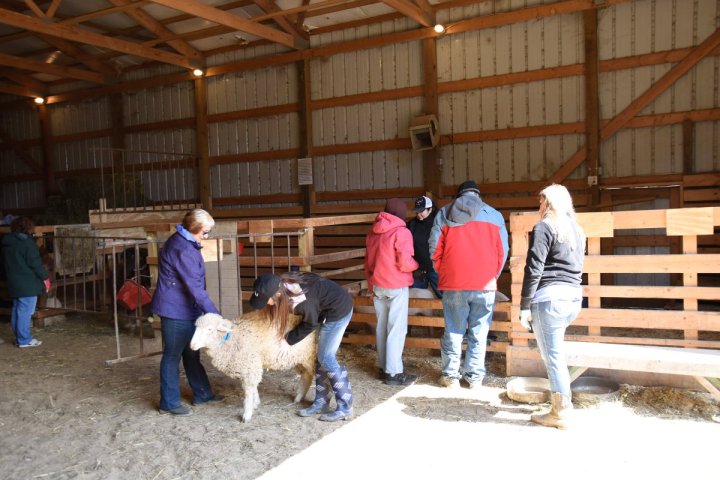 Hercules' Haven Group Visit Iowa