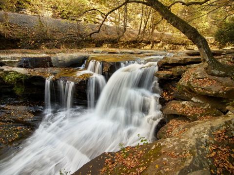 Most People Drive Right Past This Stunning West Virginia Waterfall Without Even Realizing It