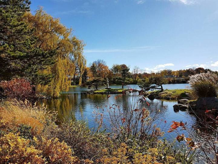 delaware park japanese garden