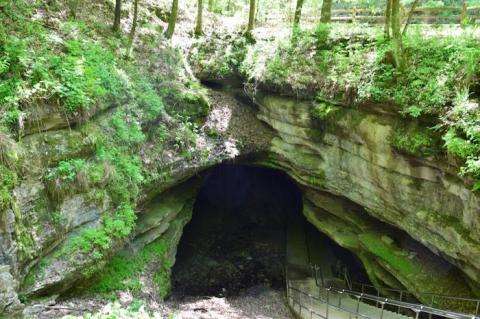 This Day Trip To Mammoth Cave National Park Is One Of The Best You Can Take In Kentucky