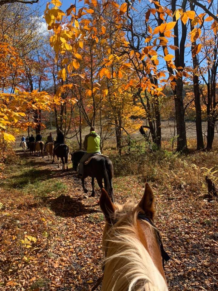 Mountain View Trail Rides Trail Ride West Virginia