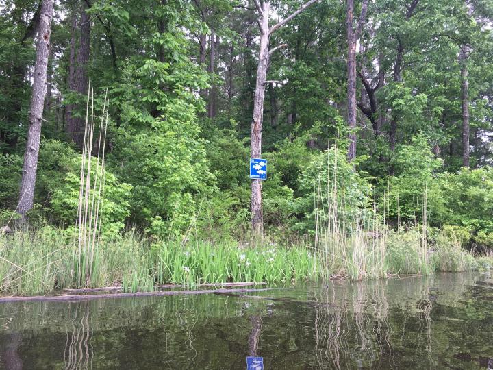 White Oak Lake State Park Fishing Arkansas