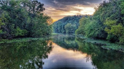 The Brief But Beautiful Springfield Conservation Nature Center Trail in Missouri Is Fun For The Whole Family