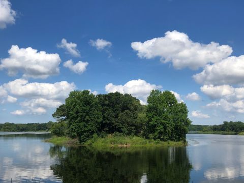 The Busse Woods Loop Trail Will Show You A Completely New Side Of Illinois