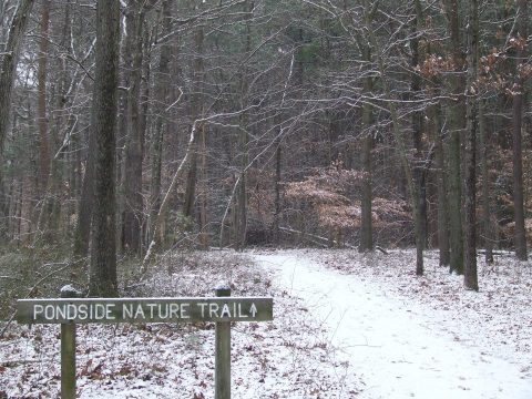 A Brisk Walk Through The Scenic Killens Pond State Park In Delaware Is Sure To Show You The Beauty Of Winter