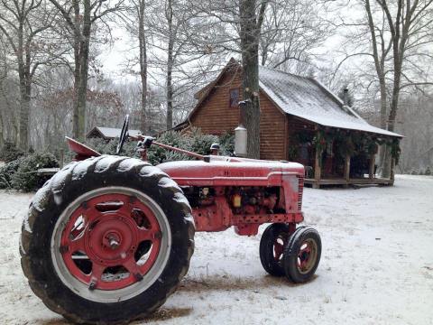 Harvest Your Own Tree At Charlie Brown's Christmas Tree Farm In Connecticut