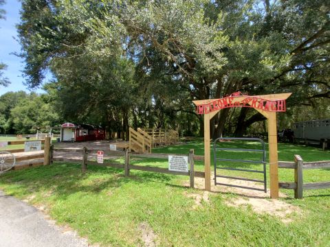 Enjoy An Incredible Trail Ride In Florida At Cactus Jack’s In The Horse Capital Of The World