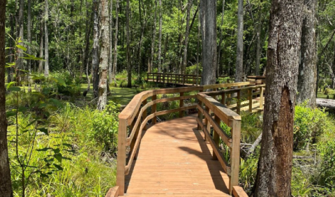 An Expansive Preserve With Boardwalk Trails And Natural Paths, Caw Caw Interpretive Center In South Carolina Is A Must-Visit