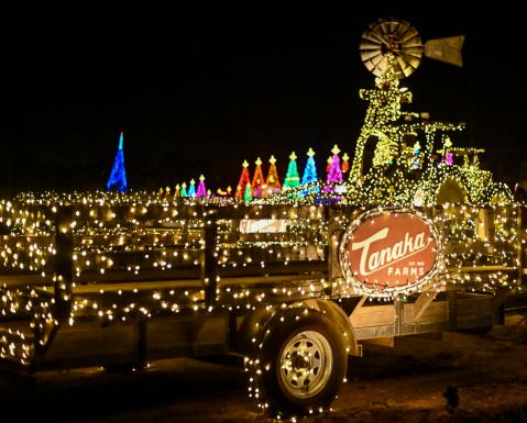 The 30-Acre Farm In Southern California, Tanaka Farms, That's All Aglow With Thousands Of Twinkly Lights